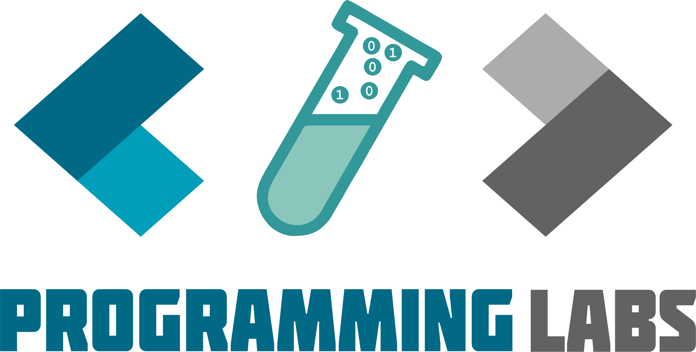 Programming Lab